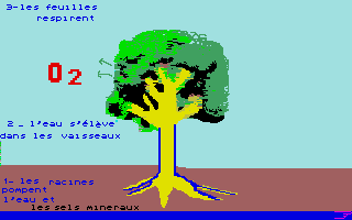 Large screenshot of À La Découverte De La Vie
