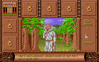 Screenshot of Fate - Gates of Dawn