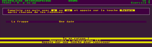 Large screenshot of Français CE2
