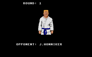 Thumbnail of other screenshot of Karate Champion