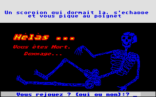 Large screenshot of Le Tresor Dans La Maison Des Brigands