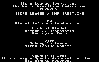 Thumbnail of other screenshot of Micro League Wrestling