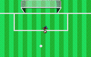 Large screenshot of Microprose Soccer