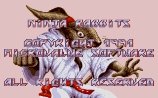 Large screenshot of Ninja Rabbits