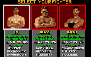 Screenshot of Pit-Fighter