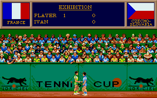 Large screenshot of Tennis Cup