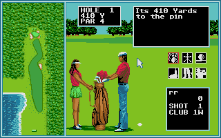 Large screenshot of Tournament Golf