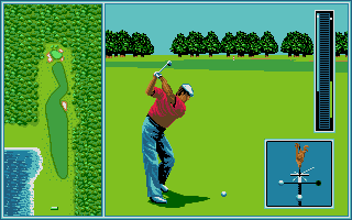 Large screenshot of Tournament Golf
