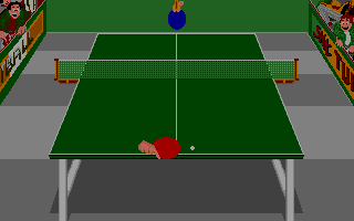 Large screenshot of Turtle Table Tennis