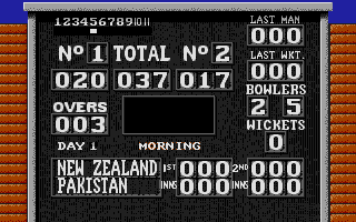 Large screenshot of World Cricket