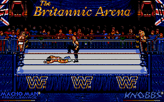 Screenshot of WWF European Rampage Tour
