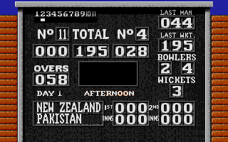 Large screenshot of World Cricket
