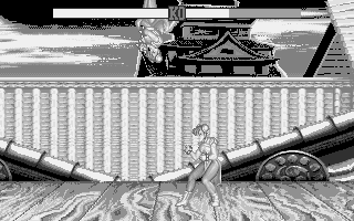 Large screenshot of Street Fighter 2
