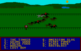 Large screenshot of Horse Racing Simulator