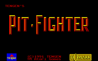 Large screenshot of Pit-Fighter