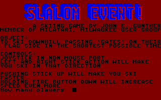 Large screenshot of Slalom Event!
