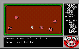 Large screenshot of Sim Pig