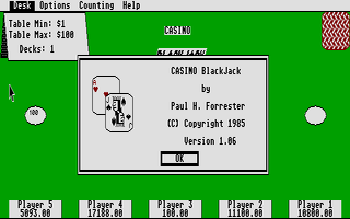 Large screenshot of Casino Blackjack