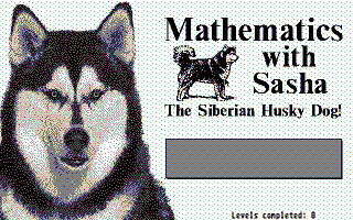 Large screenshot of Mathematics with Sasha