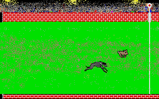 Screenshot of Gone to the Dogs