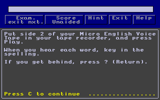 Large screenshot of Micro English