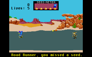Screenshot of Road Runner