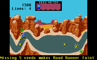 Screenshot of Road Runner