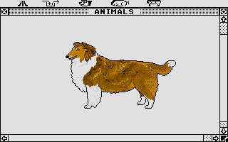 Large screenshot of Animals
