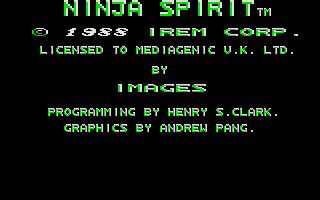 Large screenshot of Ninja Spirit
