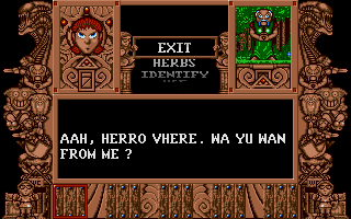 Screenshot of Elf