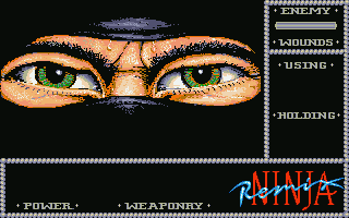 Large screenshot of Ninja Remix
